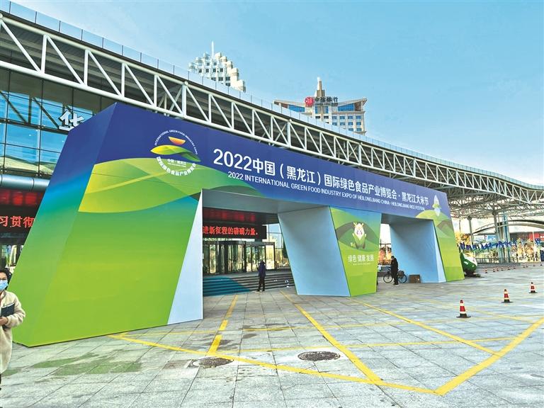 疯狂的足球2022，激情与梦想的终极盛宴