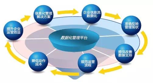 会计信息网，企业决策的智慧之眼