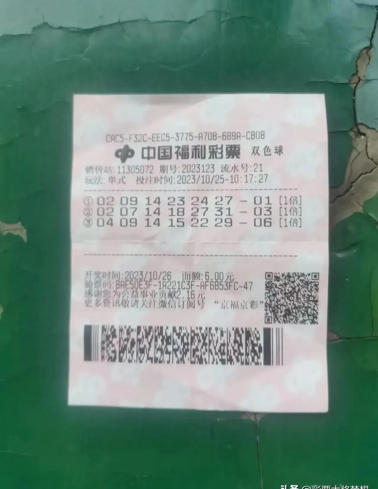 探索手机彩票，123彩票的便捷与挑战