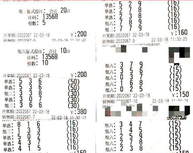 揭秘3D双彩字谜论坛，175000的奥秘与乐趣