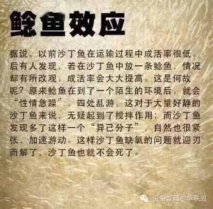 揭秘3D太湖钓叟三字谜，古老智慧与现代娱乐的奇妙融合