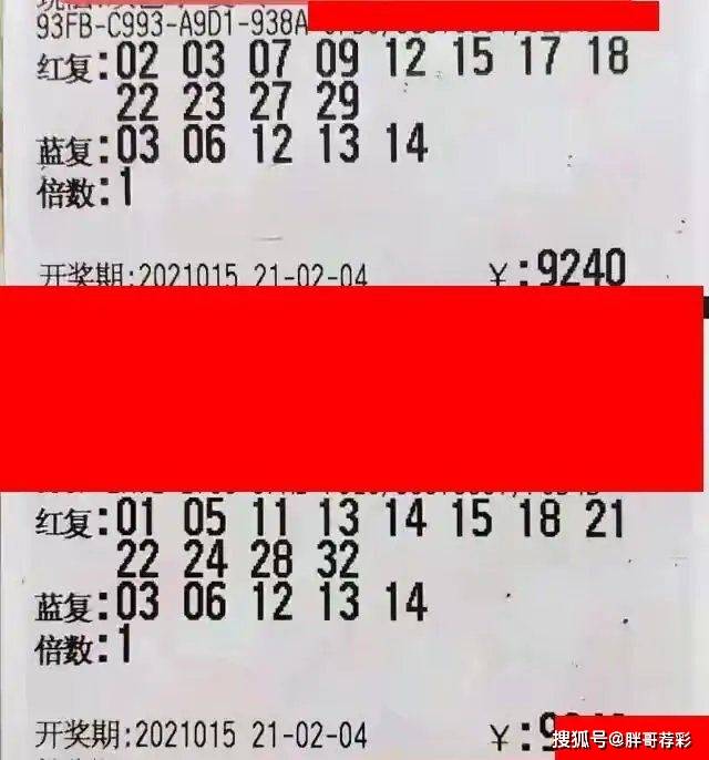 福利彩票双色球2020029期，梦想与现实的交汇点