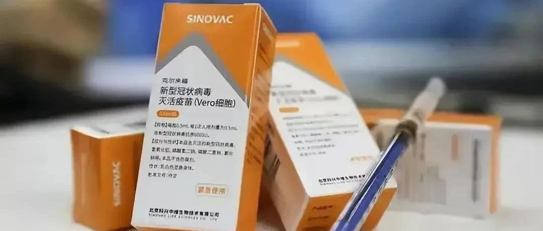 北京科兴假疫苗案，责任与追责的缺失之谜