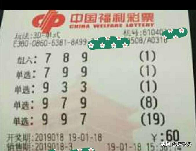 排列五开奖号码结果3D，揭秘数字背后的奥秘与乐趣