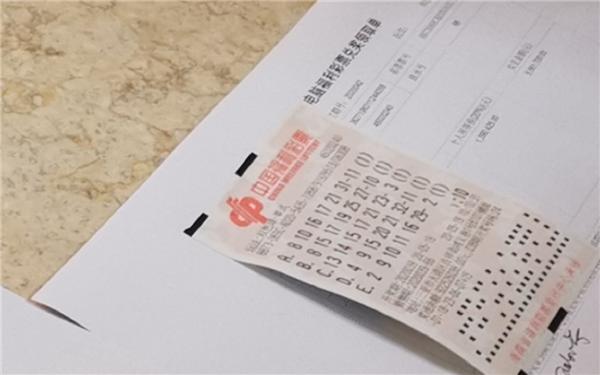 探索正版马会免费资料大全的奥秘，专业与价值的完美结合