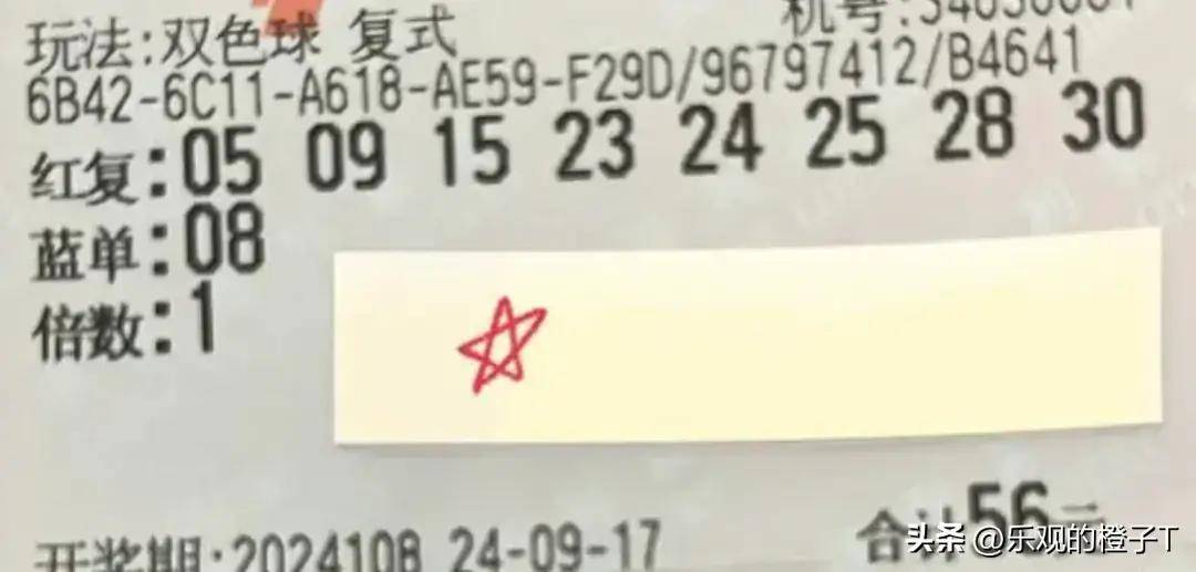 探索幸运之光，第2022085期双色球开奖号码揭秘