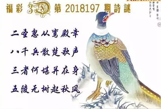 3D字谜图，今日的智慧与乐趣交织