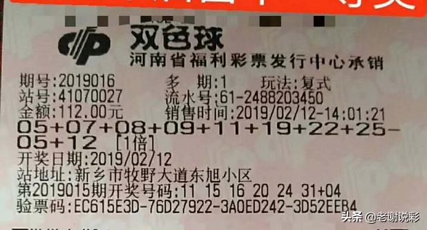 河南彩票双色球，梦想与现实的交织