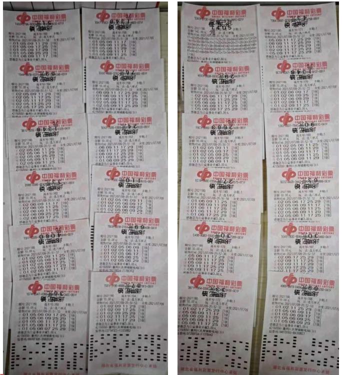 巧用大乐透胆拖投注计算器，精准计算，乐透无忧