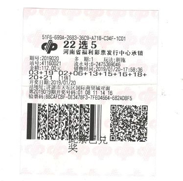 河南省22选五开奖结果查询，探索数字背后的幸运与智慧