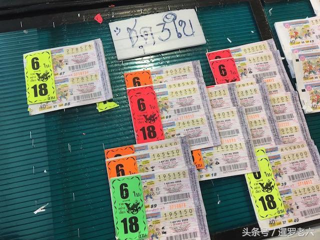 历史开奖号码分析