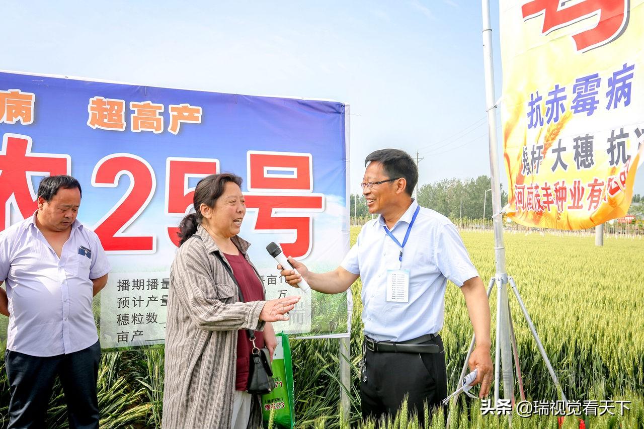 河南省22选5开奖号码及走势图深度解析