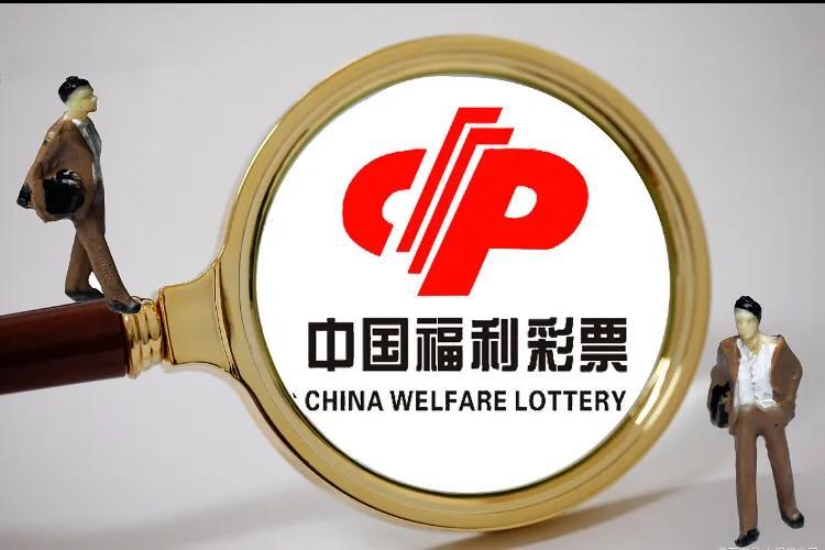 3D试机号，揭秘彩票背后的神秘数字