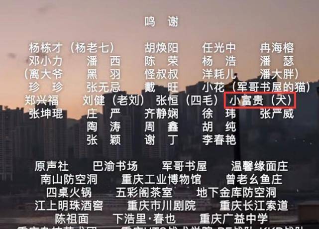 澳门彩经，2022年一码一肖精准预测的理性探讨