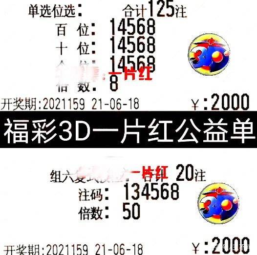 揭秘四肖八码中特，一场数字游戏的背后逻辑与风险四肖八码中特期期准精选蓝月亮好料优势