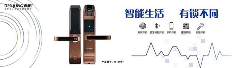 彩库宝典，解锁数字娱乐与智慧生活的秘密钥匙