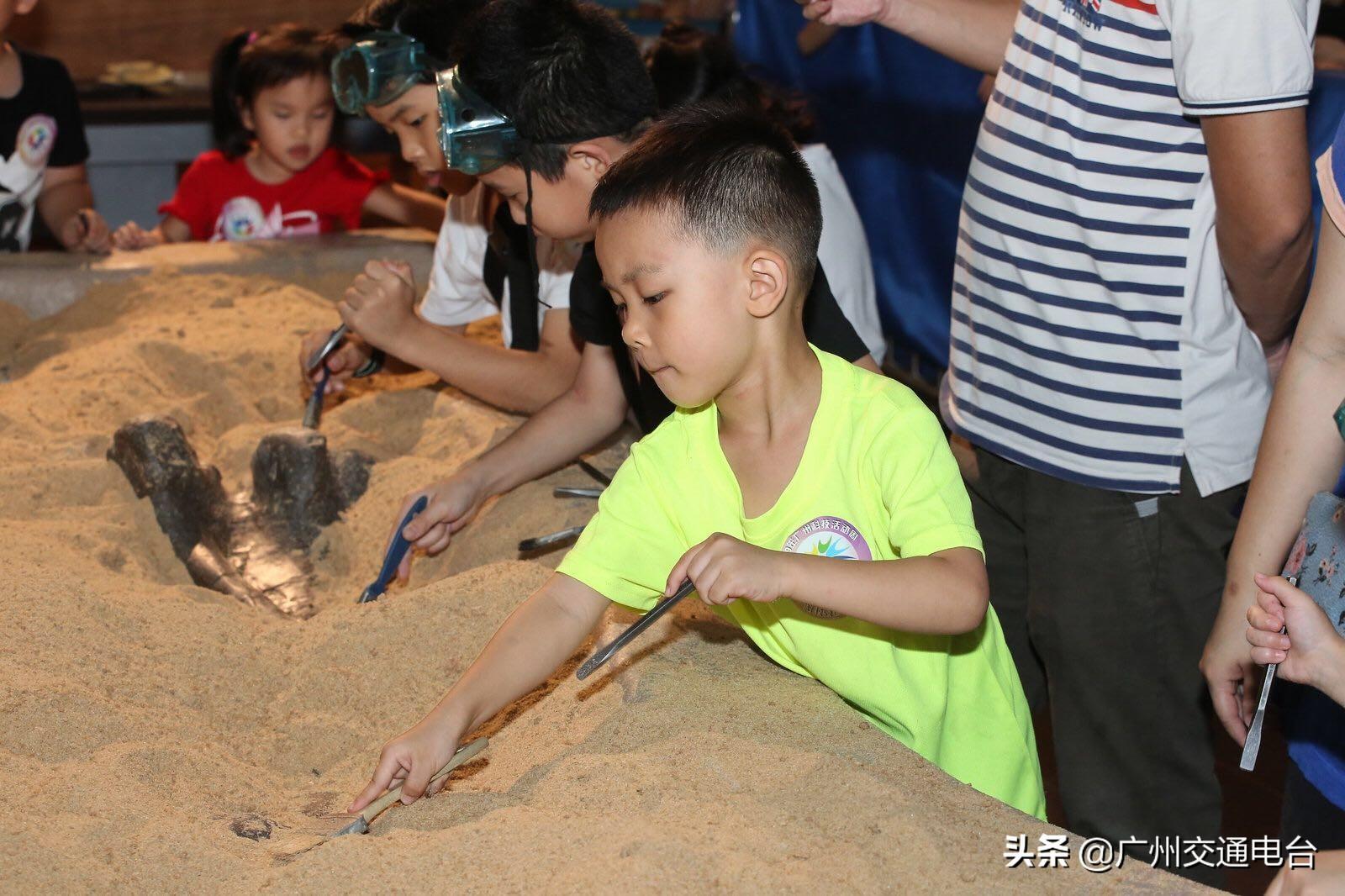 探索体彩3D十期开奖结果，数字背后的奥秘与趋势分析