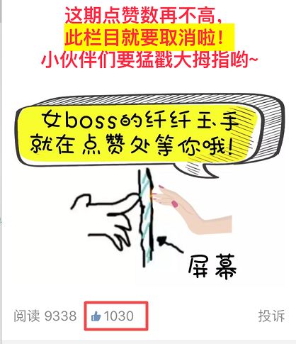 今晚开什么特马一定中，理性与幸运的交织