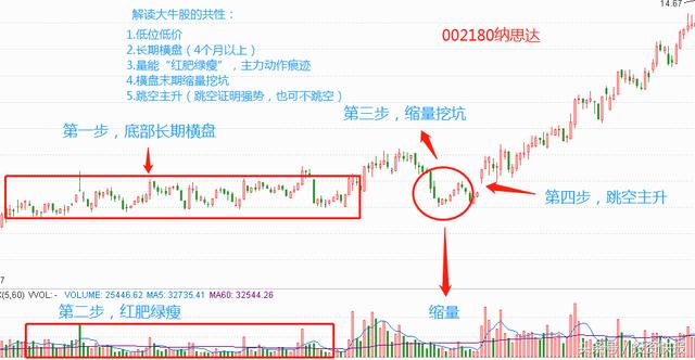 必中六肖 第196页