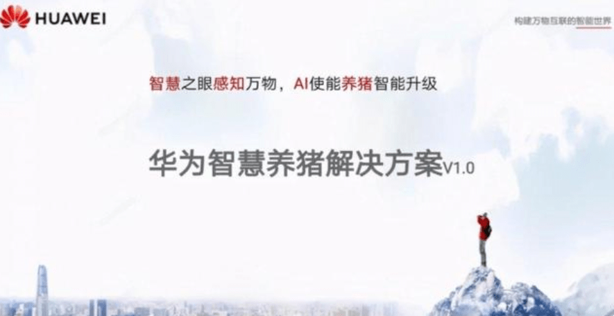 探秘字谜图片，一场视觉与智慧的盛宴