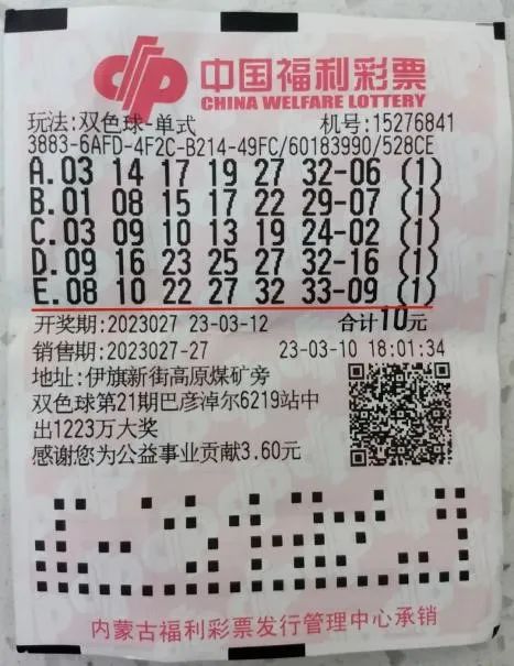 双色球机选模拟选号器，轻松掌握的选号技巧与使用指南