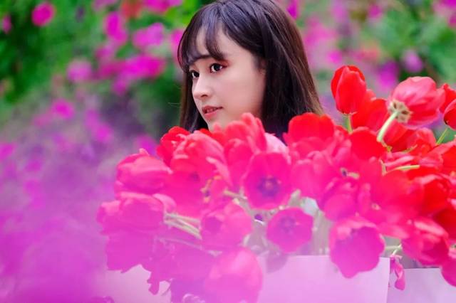 探索3D福彩红五图库，水果图中的奇妙世界