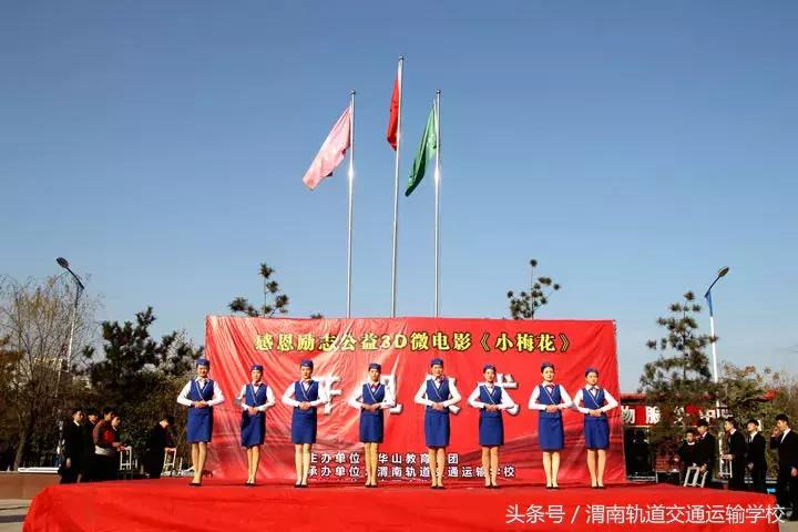 3D彩票，今日开机号码与试机号的奥秘