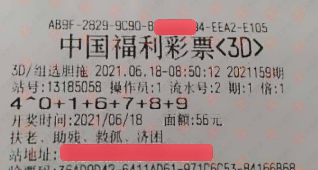 福彩2024039期，梦想与希望的交汇点