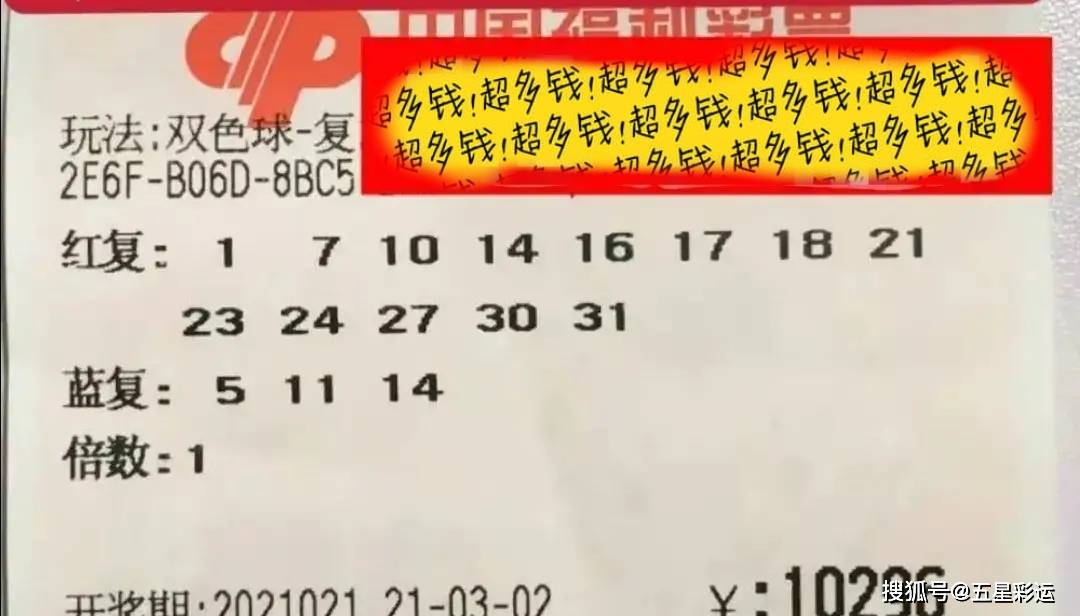 今日福彩丹东全图，揭秘彩票背后的希望与梦想