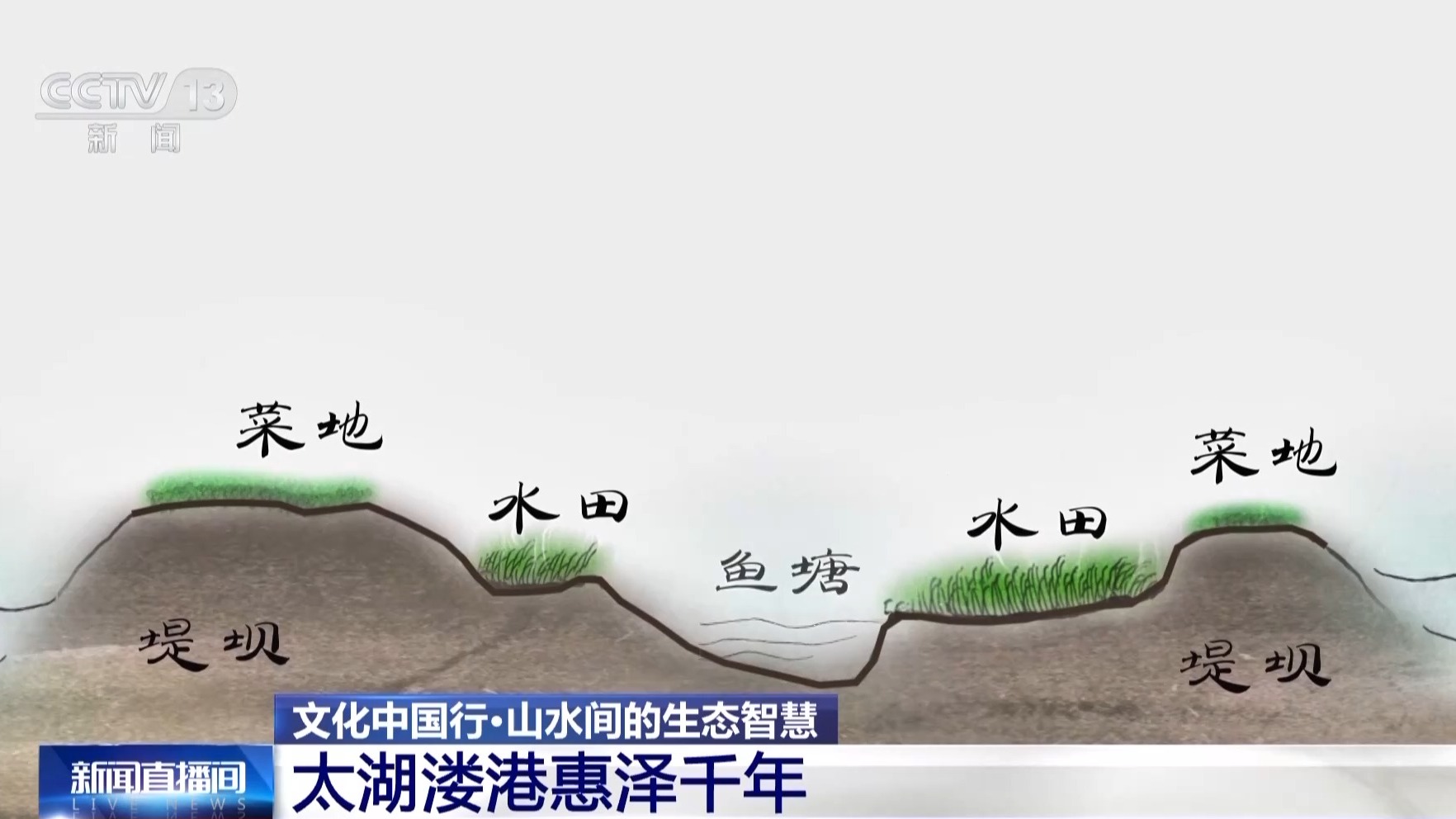 内幕区 第182页