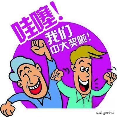 福彩3D走势图专业版，解锁数字彩票的奥秘