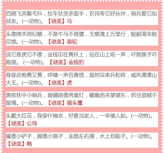 福彩三地新彩吧字谜汇总，智慧与趣味的奇妙碰撞
