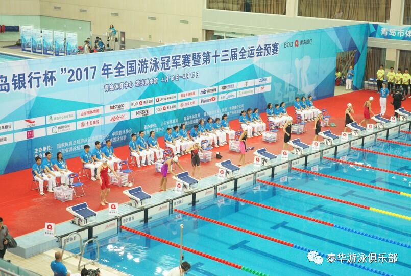 河南泳坛辉煌500期，逐浪前行，铸就荣耀篇章
