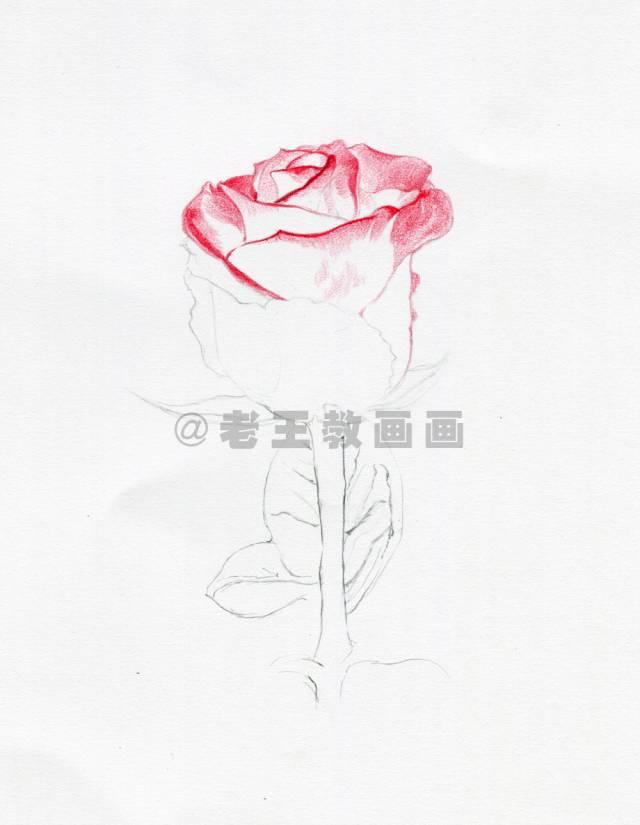 探索P3走势图，排列三在新浪平台上的奥秘