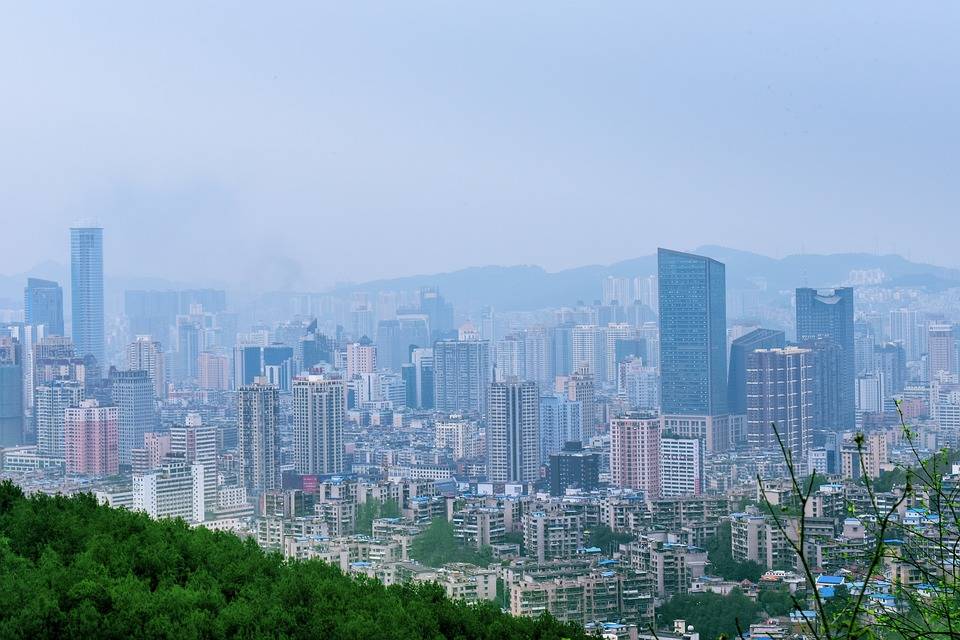 2021年双色球50期开奖结果回顾与解析