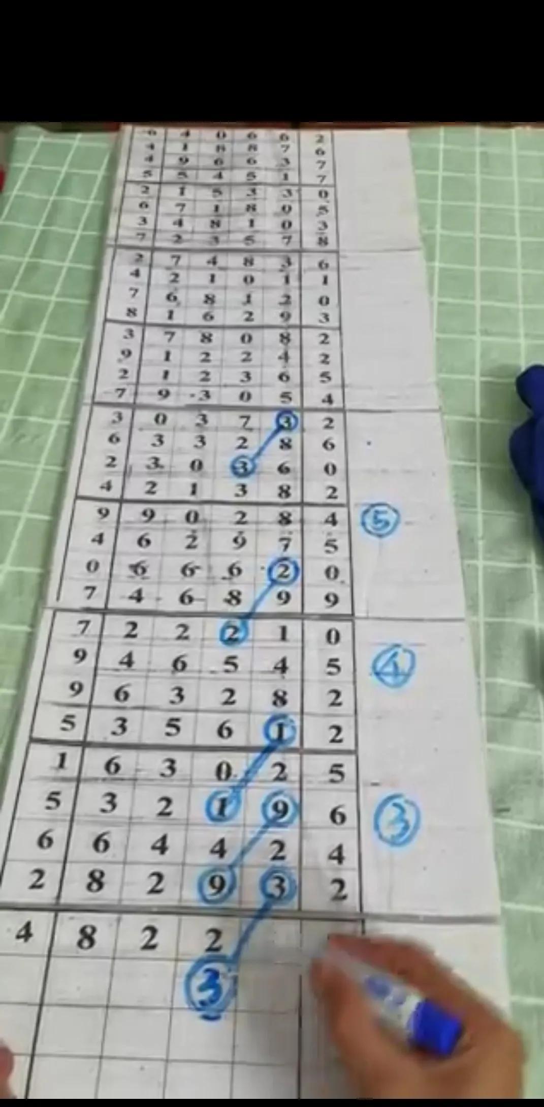 海南体彩网排列五预测走势，深度解析与策略指南