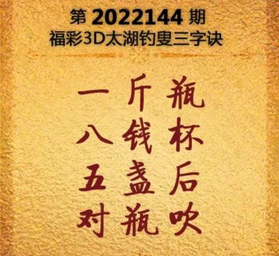 福彩3d太湖钓叟论坛，探索数字与智慧的交汇点