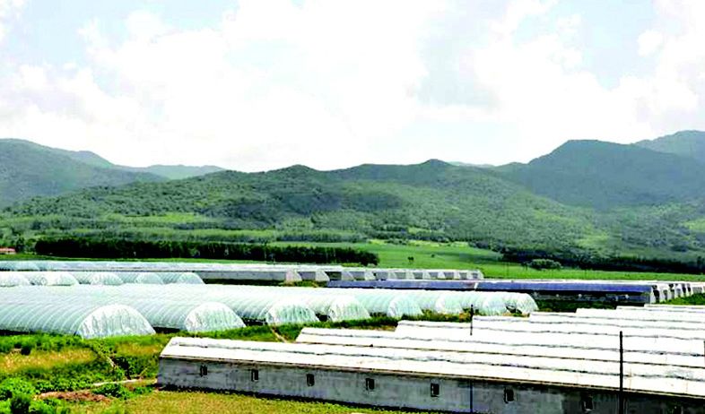 吉林省最新今日消息，乡村振兴与绿色发展齐头并进