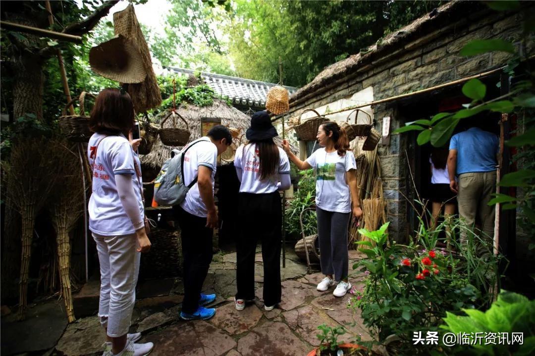 齐鲁风采app，下载体验山东文化与彩票乐趣的完美结合
