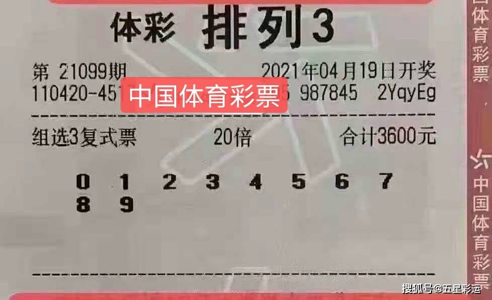 今日预测
