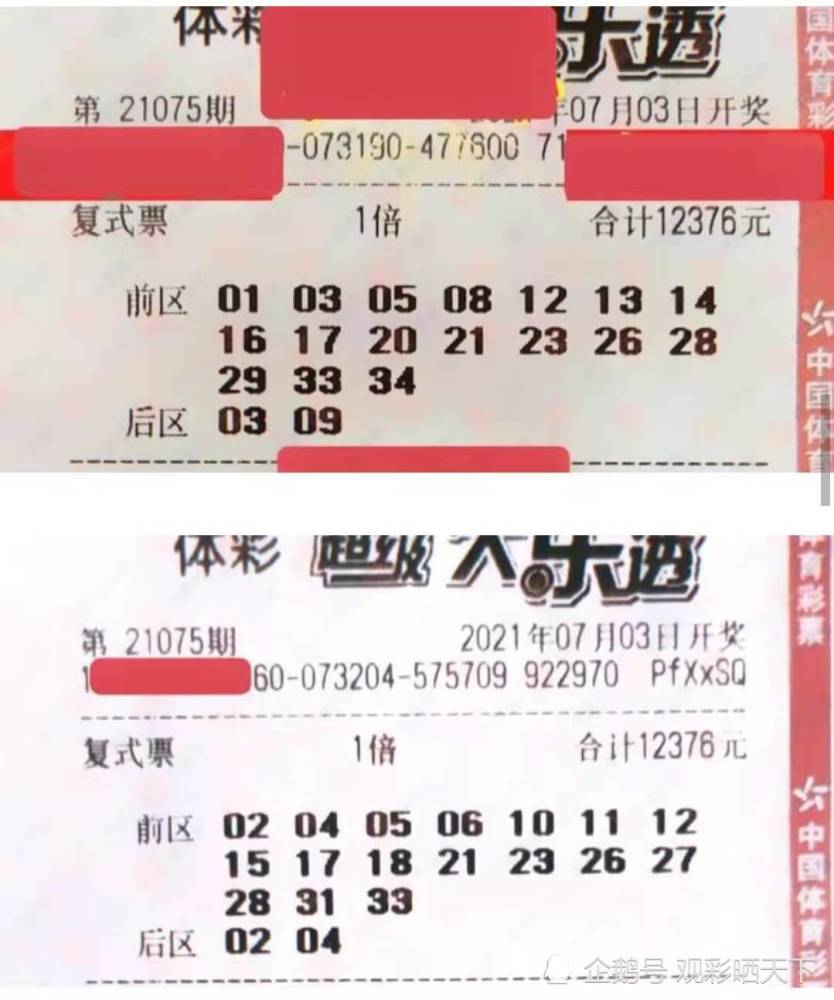大乐透中奖计算器，解锁开奖结果的秘密，助你精准预测