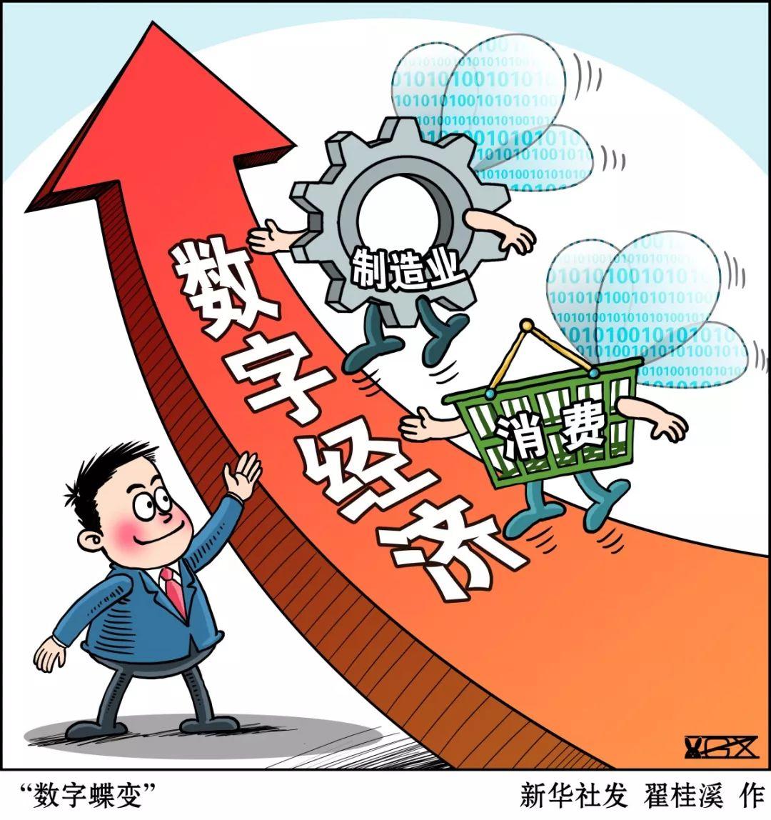 福彩六种走势图解析，洞悉数字背后的奥秘