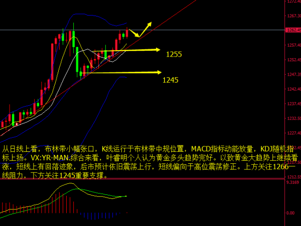 黄金，避险天堂还是投资陷阱？——金价未来走势的深度剖析