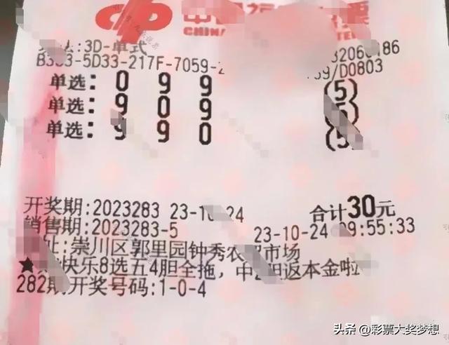 3D开奖300期历史结果，回顾与展望