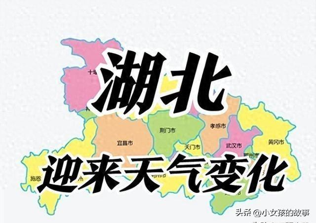 数字规律与趋势