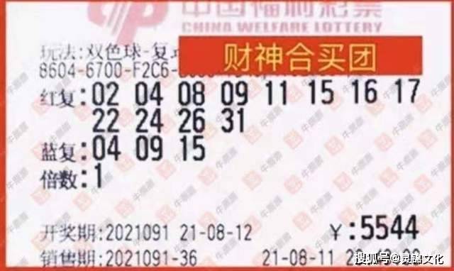最新双色球走势图解析，洞悉数字背后的奥秘