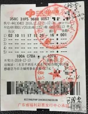精选二四六天天资料，打造高效学习与工作生活的智慧宝库精选二四六天天资料开奖记录