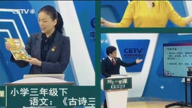 探秘老奥开奖结果，一场数字与幸运的奇妙邂逅