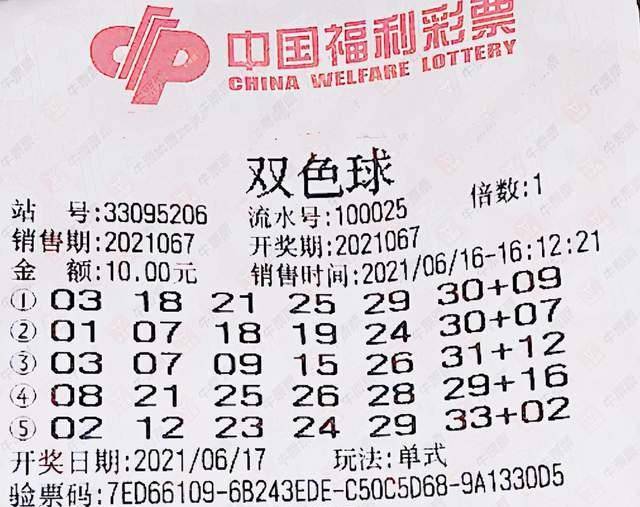 揭秘四肖八码中特期，精准预测的背后与风险警示四肖八码中特期期准精选资料丿做牛做马