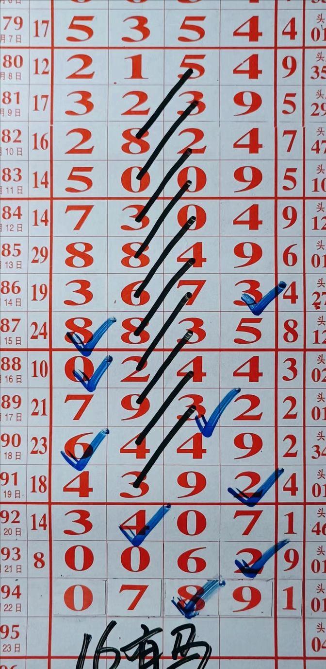 每日数字解密，探索隐藏在数据背后的秘密每日数字解密答案